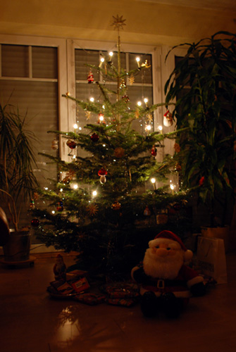 Ein geschmückter Tannenbaum an Heiligabend | Foto: Bilderrampe.de